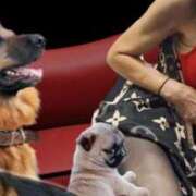 ヒメ日記 2025/11/02 10:59 投稿 らんか 熟女家 堺東店