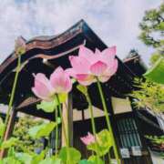 ヒメ日記 2025/07/11 10:46 投稿 ふみ 熟女家 京橋店