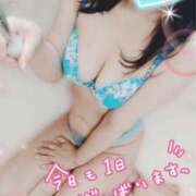 ヒメ日記 2025/07/31 12:49 投稿 ふみ 熟女家 京橋店