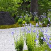 ヒメ日記 2025/08/07 10:56 投稿 ふみ 熟女家 京橋店