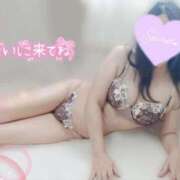 ヒメ日記 2025/09/19 12:59 投稿 ふみ 熟女家 京橋店