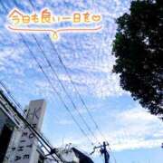 ヒメ日記 2025/09/28 09:56 投稿 ふみ 熟女家 京橋店