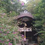 ヒメ日記 2025/10/07 13:16 投稿 ふみ 熟女家 京橋店