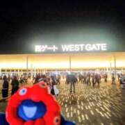 ヒメ日記 2025/10/10 13:00 投稿 ふみ 熟女家 京橋店