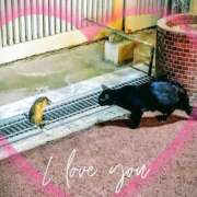 ヒメ日記 2025/10/27 22:26 投稿 ふみ 熟女家 京橋店