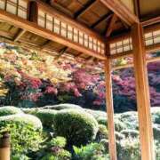 ヒメ日記 2025/11/24 12:15 投稿 ふみ 熟女家 京橋店