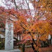 ヒメ日記 2025/12/11 12:07 投稿 ふみ 熟女家 京橋店