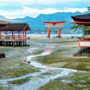 ヒメ日記 2026/01/04 12:20 投稿 ふみ 熟女家 京橋店