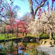 ヒメ日記 2026/03/03 12:04 投稿 ふみ 熟女家 京橋店