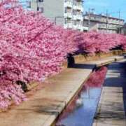 ヒメ日記 2026/03/08 13:06 投稿 ふみ 熟女家 京橋店