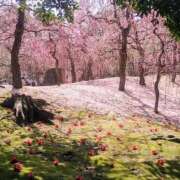 ヒメ日記 2026/03/14 12:26 投稿 ふみ 熟女家 京橋店