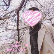 ヒメ日記 2026/03/29 12:46 投稿 ふみ 熟女家 京橋店