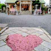 ヒメ日記 2026/04/26 13:05 投稿 ふみ 熟女家 京橋店