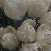 ヒメ日記 2026/01/11 13:09 投稿 姫倉　りこ オトナ女子倶楽部