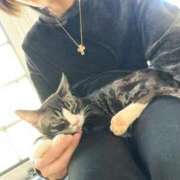 ヒメ日記 2025/11/03 01:30 投稿 寿きづな ゴールドクイーン