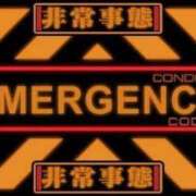 ヒメ日記 2025/12/12 10:50 投稿 寿きづな ゴールドクイーン