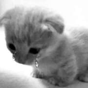 ヒメ日記 2025/08/17 14:51 投稿 かなこ Blue Lagoon(ブルーラグーン)