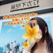 ヒメ日記 2025/10/31 16:40 投稿 あいら Cocoon(コクーン)