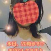 ヒメ日記 2025/11/06 18:20 投稿 あいら Cocoon(コクーン)