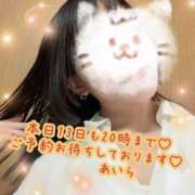 ヒメ日記 2025/11/13 19:40 投稿 あいら Cocoon(コクーン)