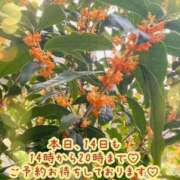 あいら 🌸あいらです🌸テトリスって面白い Cocoon(コクーン)