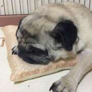 ゆか 完熟バナナのゆかです。 完熟ばなな川崎