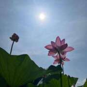 ヒメ日記 2025/08/07 08:01 投稿 みずほ 西川口おかあさん