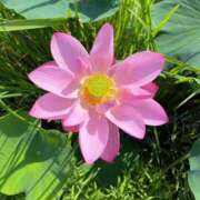 ヒメ日記 2025/08/07 13:01 投稿 みずほ 西川口おかあさん