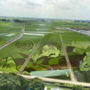 ヒメ日記 2025/08/13 13:21 投稿 みずほ 西川口おかあさん