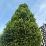 ヒメ日記 2025/08/24 13:02 投稿 みずほ 西川口おかあさん