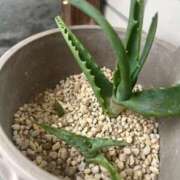 ヒメ日記 2025/09/20 19:02 投稿 みずほ 西川口おかあさん