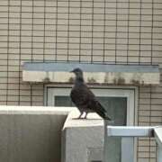 ヒメ日記 2025/10/01 07:21 投稿 みずほ 西川口おかあさん