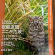ヒメ日記 2025/10/24 07:16 投稿 みずほ 西川口おかあさん