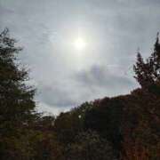 ヒメ日記 2025/11/06 13:06 投稿 みずほ 西川口おかあさん