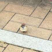 ヒメ日記 2025/11/07 13:16 投稿 みずほ 西川口おかあさん