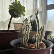 ヒメ日記 2025/11/15 07:06 投稿 みずほ 西川口おかあさん