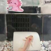 ヒメ日記 2025/12/19 08:16 投稿 みずほ 西川口おかあさん