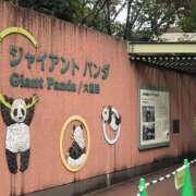 ヒメ日記 2026/01/16 07:56 投稿 みずほ 西川口おかあさん