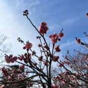 ヒメ日記 2026/02/10 07:56 投稿 みずほ 西川口おかあさん