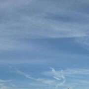 ヒメ日記 2026/02/28 10:26 投稿 みずほ 西川口おかあさん