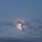 ヒメ日記 2026/03/06 12:31 投稿 みずほ 西川口おかあさん