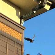 ヒメ日記 2026/03/13 05:06 投稿 みずほ 西川口おかあさん