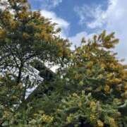 ヒメ日記 2026/03/19 05:26 投稿 みずほ 西川口おかあさん