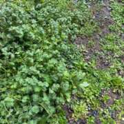 ヒメ日記 2026/03/26 12:27 投稿 みずほ 西川口おかあさん