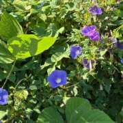 ヒメ日記 2025/10/09 18:46 投稿 みずほ 大宮おかあさん