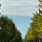 ヒメ日記 2025/10/14 08:06 投稿 みずほ 大宮おかあさん