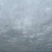 ヒメ日記 2025/10/22 13:16 投稿 みずほ 大宮おかあさん