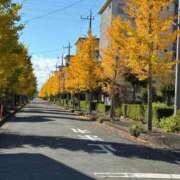 ヒメ日記 2025/11/10 13:26 投稿 みずほ 大宮おかあさん