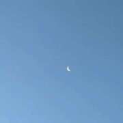 ヒメ日記 2025/11/14 06:56 投稿 みずほ 大宮おかあさん