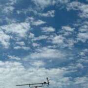 ヒメ日記 2025/11/28 14:06 投稿 みずほ 大宮おかあさん